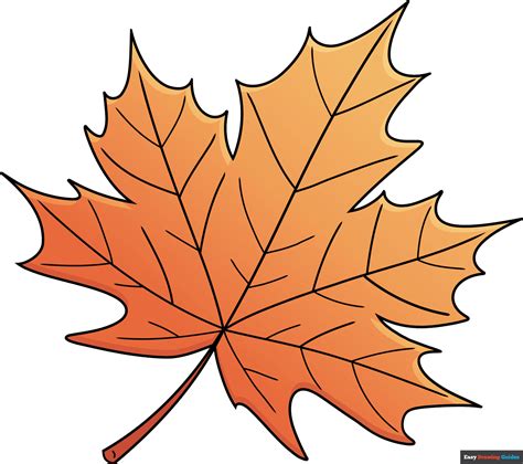 maple leaf drawing|easy to draw maple leaf.